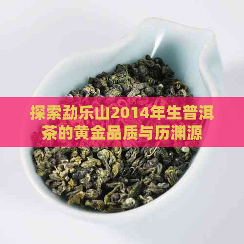 探索勐乐山2014年生普洱茶的黄金品质与历渊源