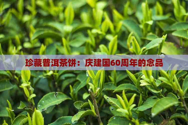 珍藏普洱茶饼：庆建国60周年的念品