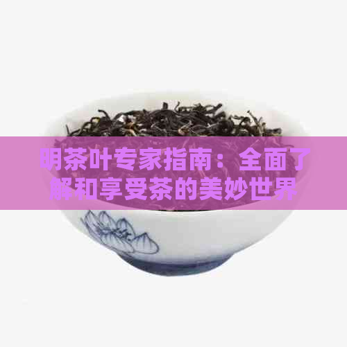 明茶叶专家指南：全面了解和享受茶的美妙世界