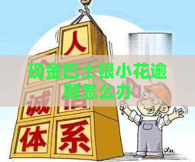 现金巴士银小花逾期怎么办