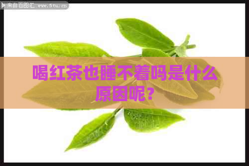 喝红茶也睡不着吗是什么原因呢？