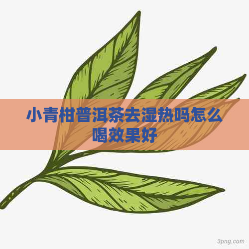 小青柑普洱茶去湿热吗怎么喝效果好