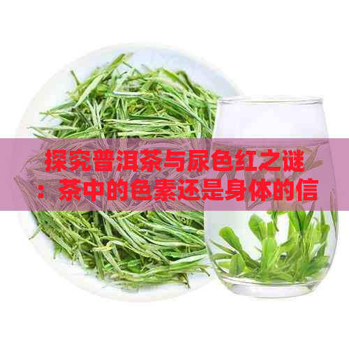 探究普洱茶与尿色红之谜：茶中的色素还是身体的信号？