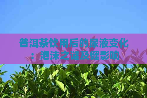 普洱茶饮用后的尿液变化：泡沫之谜及健影响