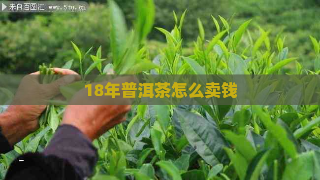 18年普洱茶怎么卖钱