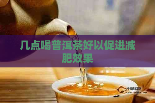 几点喝普洱茶好以促进减肥效果