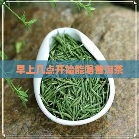 早上几点开始能喝普洱茶