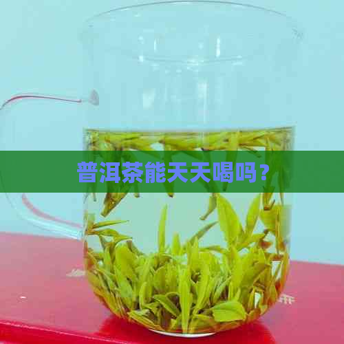 普洱茶能天天喝吗？