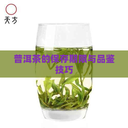 普洱茶的保存期限与品鉴技巧