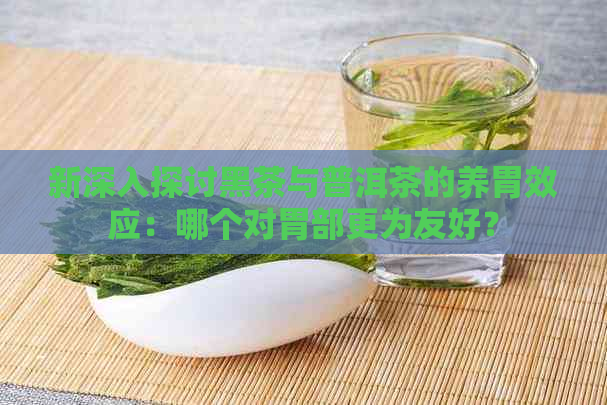 新深入探讨黑茶与普洱茶的养胃效应：哪个对胃部更为友好？