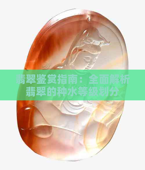 翡翠鉴赏指南：全面解析翡翠的种水等级划分