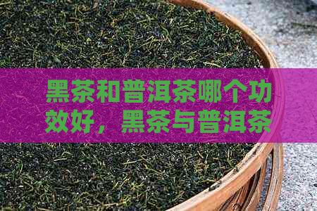 黑茶和普洱茶哪个功效好，黑茶与普洱茶哪一种茶更好，黑茶和普洱的区别