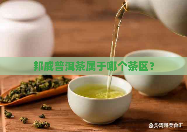 邦威普洱茶属于哪个茶区？