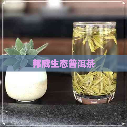 邦威生态普洱茶