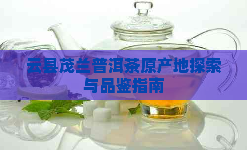 云县茂兰普洱茶原产地探索与品鉴指南