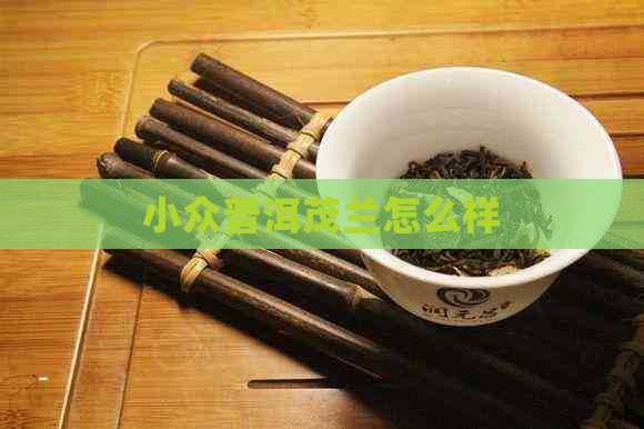 小众普洱茂兰怎么样