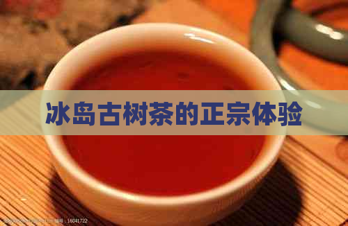 冰岛古树茶的正宗体验