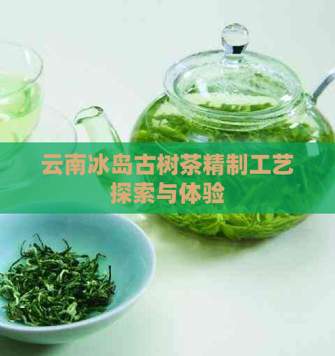 云南冰岛古树茶精制工艺探索与体验