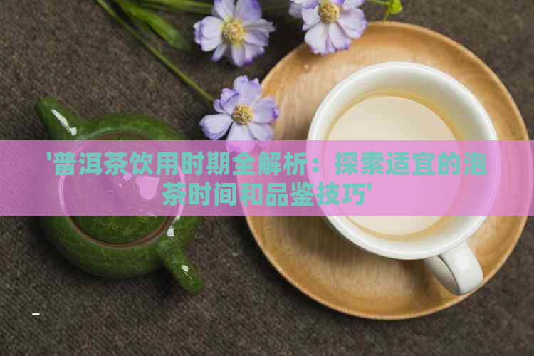 '普洱茶饮用时期全解析：探索适宜的泡茶时间和品鉴技巧'