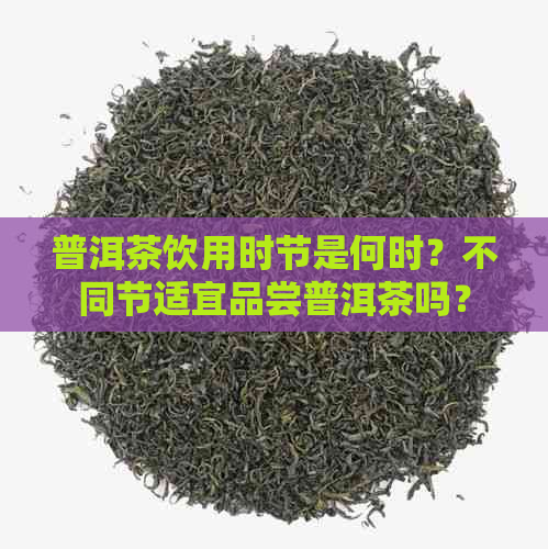 普洱茶饮用时节是何时？不同节适宜品尝普洱茶吗？