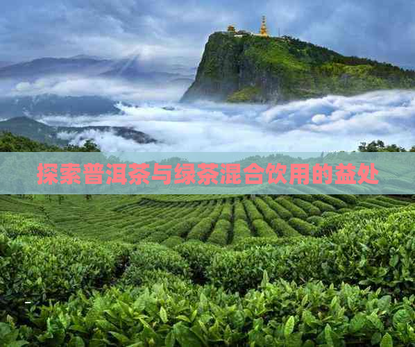 探索普洱茶与绿茶混合饮用的益处