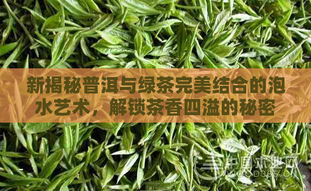 新揭秘普洱与绿茶完美结合的泡水艺术，解锁茶香四溢的秘密