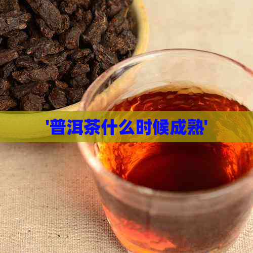 '普洱茶什么时候成熟'