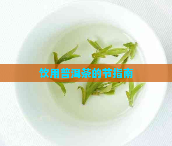 饮用普洱茶的节指南