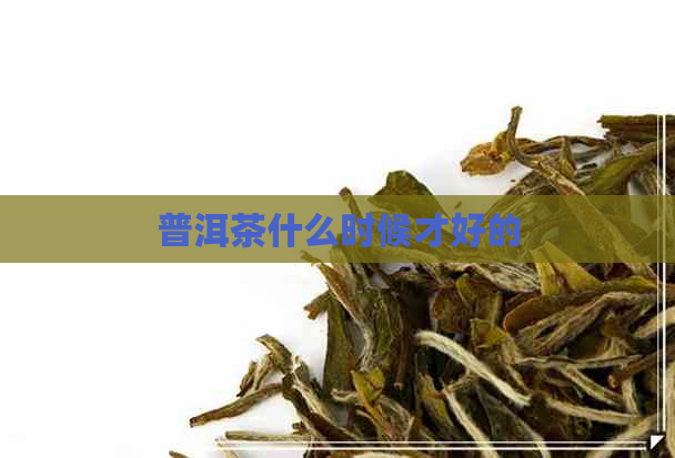 普洱茶什么时候才好的