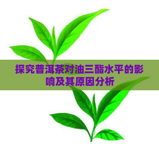 探究普洱茶对油三酯水平的影响及其原因分析