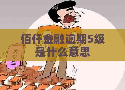 佰仟金融逾期5级是什么意思