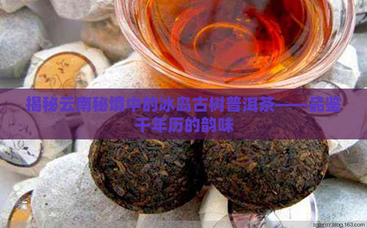 揭秘云南秘境中的冰岛古树普洱茶——品鉴千年历的韵味