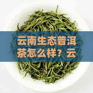 云南生态普洱茶怎么样？云南生态茶有哪些品种？