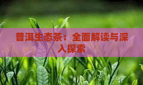 普洱生态茶：全面解读与深入探索