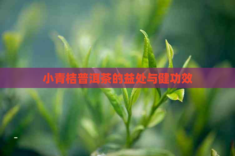 小青桔普洱茶的益处与健功效