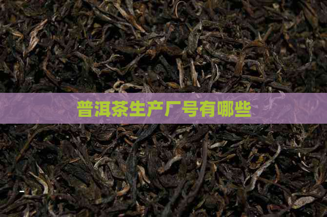 普洱茶生产厂号有哪些