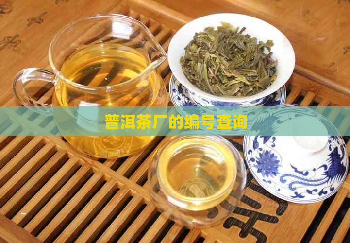 普洱茶厂的编号查询