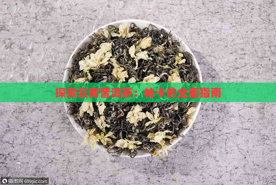 探索云南普洱茶：帕卡的全面指南