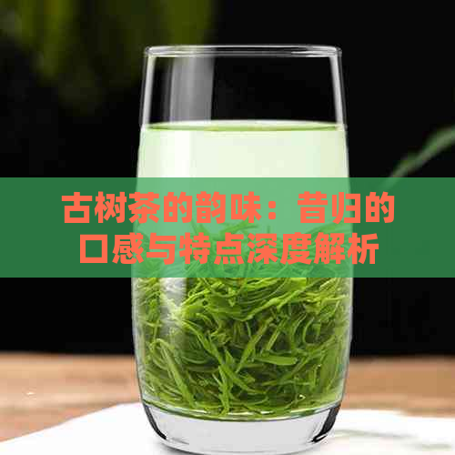 古树茶的韵味：昔归的口感与特点深度解析