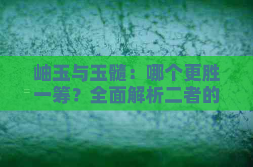 岫玉与玉髓：哪个更胜一筹？全面解析二者的美学特征和价值差异