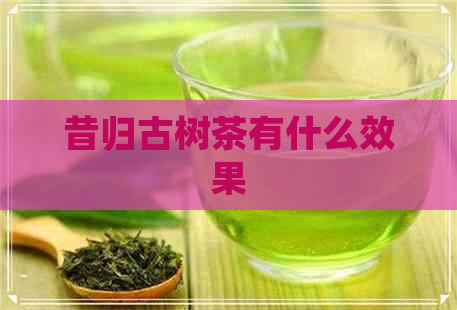 昔归古树茶有什么效果