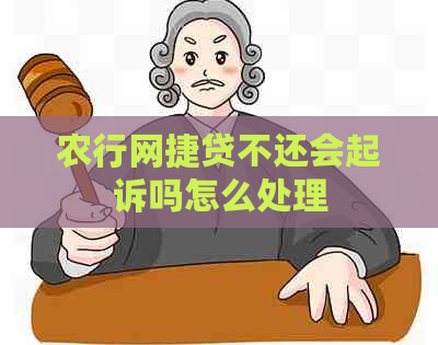 农行网捷贷不还会起诉吗怎么处理