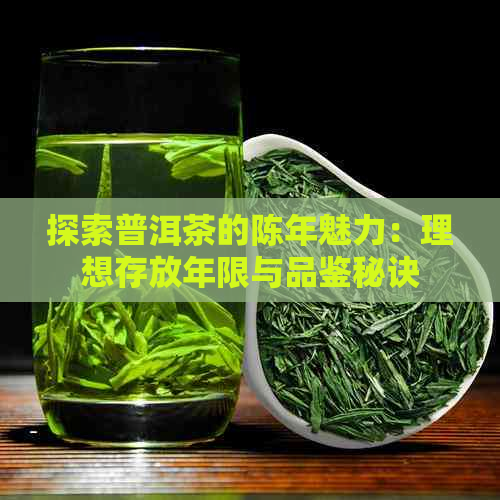 探索普洱茶的陈年魅力：理想存放年限与品鉴秘诀