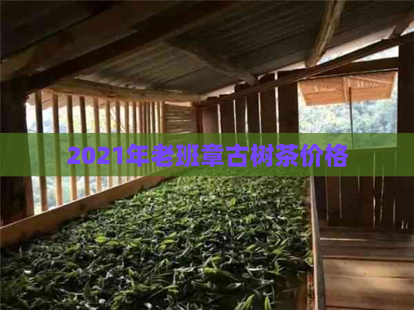 2021年老班章古树茶价格