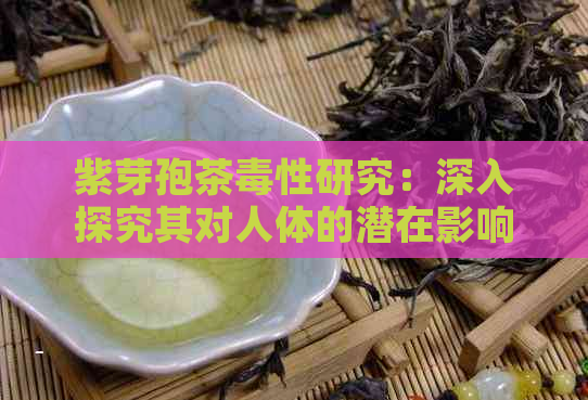 紫芽孢茶性研究：深入探究其对人体的潜在影响