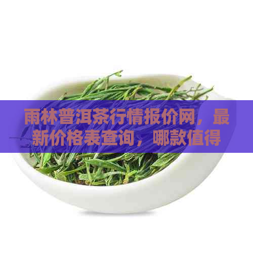 雨林普洱茶行情报价网，最新价格表查询，哪款值得收藏？