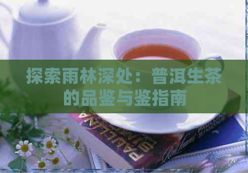 探索雨林深处：普洱生茶的品鉴与鉴指南