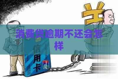 消费贷逾期不还会怎样