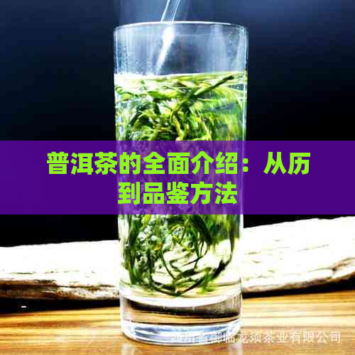 普洱茶的全面介绍：从历到品鉴方法