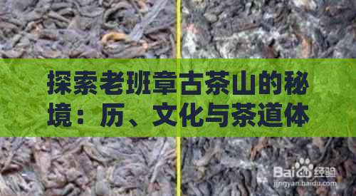 探索老班章古茶山的秘境：历、文化与茶道体验